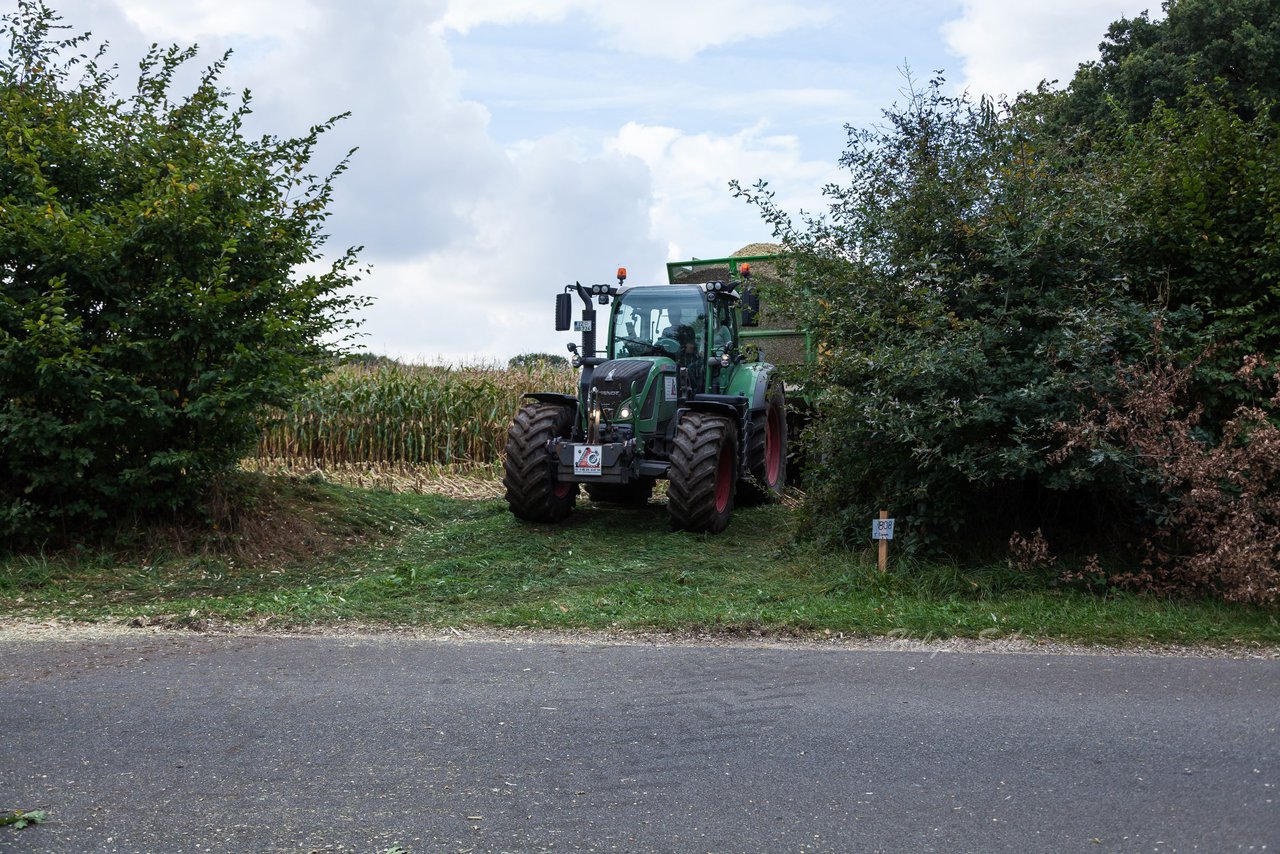 Bild 214 - Maisernte